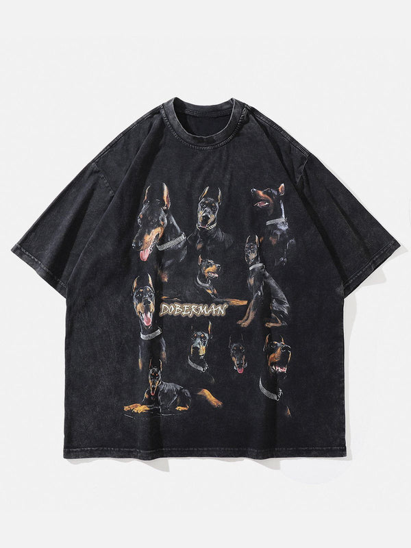 Laixton Washed Doberman Graphic Tee